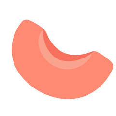 Illustration of a single peach, apricot or nectarine wedge