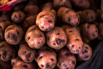 2023 8 15 Peru potatoes