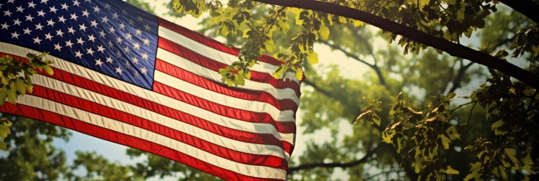 View American Flag Through Tree, Background Image, Background For Banner, HD