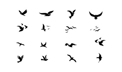 flying birds image for logo design, birds illustration vector design,