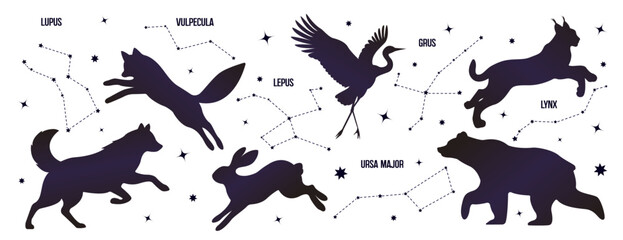 Wild animals constellations set isolated on white background
