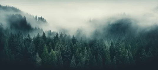 Fotobehang Enchanting Misty Forest, Dark Green Serenity © M.Gierczyk