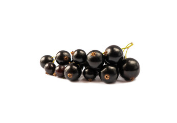 Blackcurrant branch isolated on white background. Currant sprig on white. Black currant isolated on white background. Ripe and tasty currant.