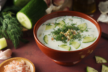 A bowl with Tarator cold soup - traditional Bulgarian dish	