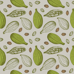 Cardamom aromatic camphor spice sketch seamless pattern hand drawn repeating vector background fresh and dried fruit pods cardamom plant. Eastern traditional medicine, food, harvest seeds cardamom