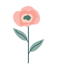 Pink blossoming flower in boho style. Spring Plants, Botany and Nature. Herbarium for decoration. Cartoon flower, isolated on a white background. Vector illustration.
