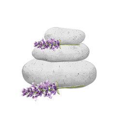 Spa Composition with massage stones and lavender flowers. Beauty spa treatment and relax concept for wellness, massage, meditation center. Hand drawn illustration