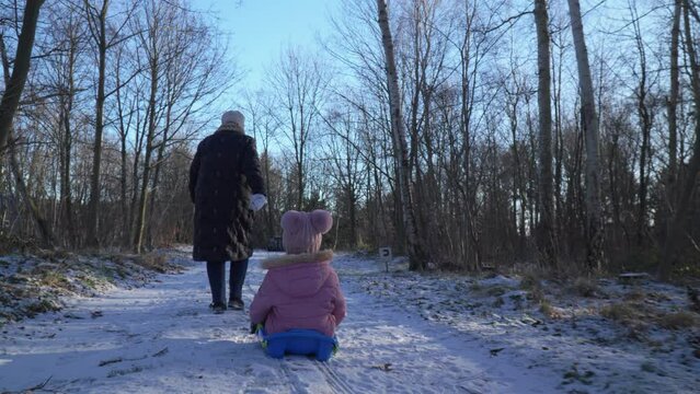Kids bobsledding down hill with grand parents watching