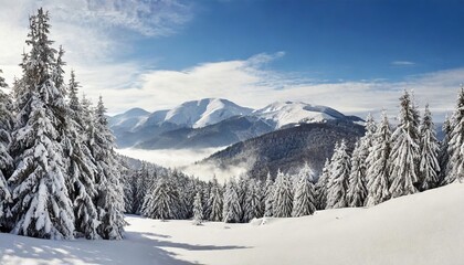 Fototapeta na wymiar winter landscape of mountains in snow in fir forest