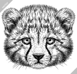 Vintage engraving isolated leopard set panther illustration ink sketch. Africa wild cat cheetah background jaguar animal silhouette art. Black and white hand drawn vector image	