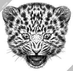 Vintage engraving isolated leopard set panther illustration ink sketch. Africa wild cat cheetah background jaguar animal silhouette art. Black and white hand drawn vector image	