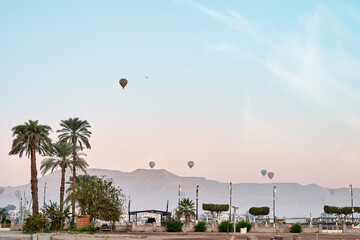 sun rise from luxor temple with palm tree and cloudy blue sky and hot air ballon in the background, Luxor, Egypt. - obrazy, fototapety, plakaty