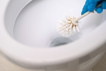Hand in glove holding white toilet brush and cleaning toilet bowl, concept for house cleaning and household duties