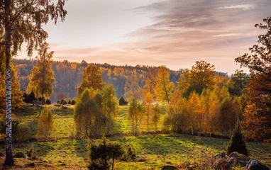 Afwasbaar Fotobehang Bestemmingen autumn landscape with trees