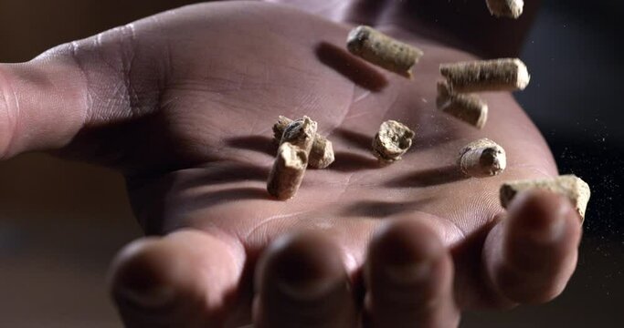 Super slow motion macro of renewable energy sources heating wood compressed pellets are falling on workers hand for quality control at 1000 fps.