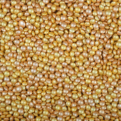Colorful and bright cake decorations, in powder and granule form, can also be used as a colorful background.