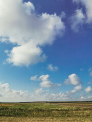 Vertical Photograph of a Small Field Under a Sunny Sky, Summer, No People