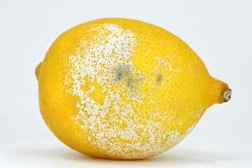 Mold on lemon, mild symptoms. Penicillium infection on citrus fruit 