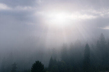 A light rays through the clouds over foggy spruce forest on a mountain hill in Carpathian mountains. Ukraine. - 728701040