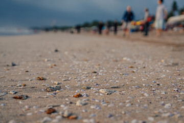 shells and stones on the beaches of bali