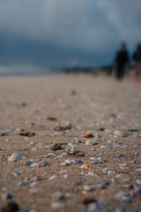 shells and stones on the beaches of bali