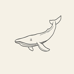 Line art whale illustration. Marine animal drawing