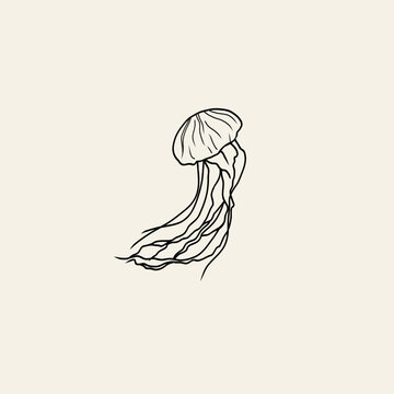 Line art jellyfish logo. Marine animal drawing