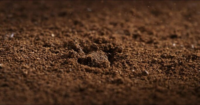 Super slow motion macro of splashing rain water drops are falling on young fresh rural farmland agricultural plantation fertilized field ground at 1000 fps.