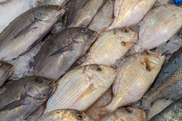 Pescado fresco expuesto en un mercado