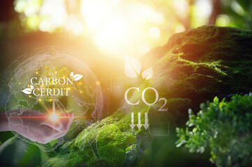 Carbon credit or CO2 trading market. Carbon tradable certificates for buy-sell. Business and...