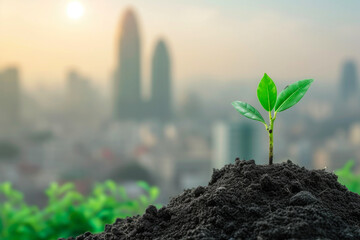 Green Solutions for a Better Tomorrow