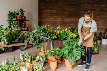 Man wearing apron wiping leaves of beautiful potted houseplants indoors. Concept of plants care and home garden.