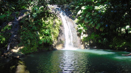 Une belle cascade dans la forêt tropicale