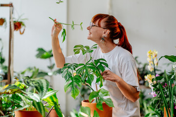 Young Caucasian red haired woman florist, plants lover, enjoy caring of home interiors plants in...