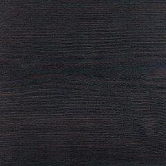 Natural wood pieces, colorful tree backgrounds, plain trees in different colors.