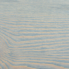 Natural wood pieces, colorful tree backgrounds, plain trees in different colors.