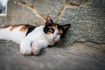 Ein Bummel durch Chora