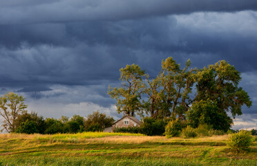 Rural landscape with a house standing between tall poplars before storm