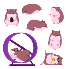 Funny cute hamsters, set of vector illustrations on white, flat cartoon