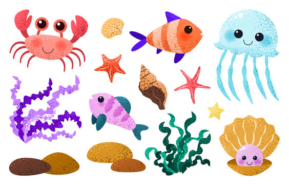 Cartoon illustrations of sea and ocean animals and plants on white. Clip arts with crab, fish, seashell, seaweed, jellyfish for childish print. Vector set with funny creatures. Underwater collection. 