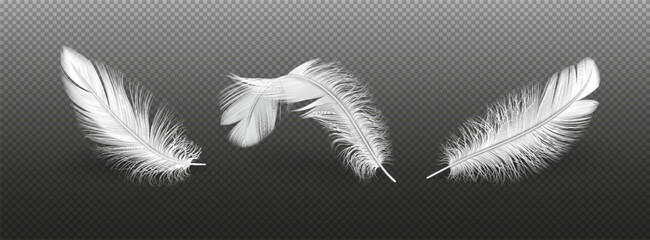 Light bird feathers group realistic vector illustration set. Flying animals plumage details. Fluffy quills 3d elements on transparent background