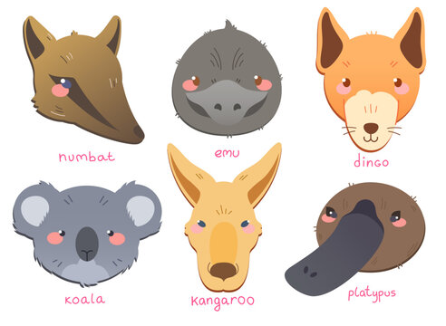 Color vector set with various animals of Australia in flat painting