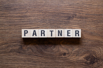 Partner - word concept on building blocks, text