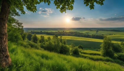 Beautiful panoramic photo. Summer is starting. Sunny, good weather, warm. Green beautiful trees, grass, bushes, flowers. Everything blooms and shines.