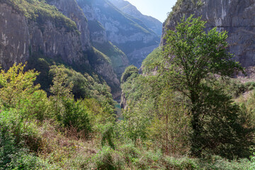 Mountain landscape in the gorge of the river Moraca in Balkans, Montenegro