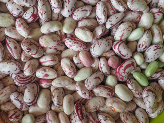 crimson beans legumes food background - 728743257