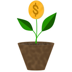 plant growing from coins