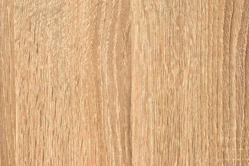 Wooden fine polished teak wood texture