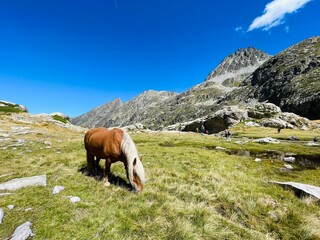 Pirineos 