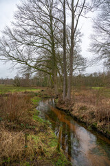 Little streem through Wisselse Veen near Epe in the Netherlands, a newly formed nature reserve called Landgoed Tongeren.